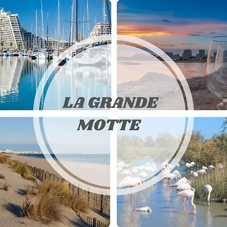 Le Cosy Wifi Clim Jardin Pros Servicesconciergerie Apartment Montpellier
